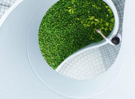 The Swiss Quality Promise